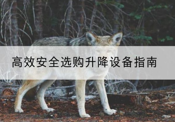 博兴升降货梯厂家推荐-*安全选购升降设备指南