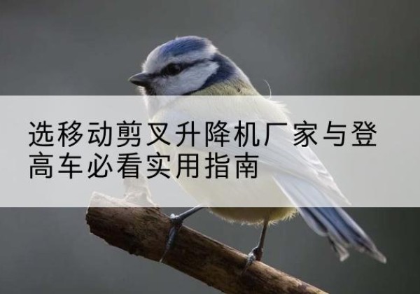 博兴电动升降机厂家-选移动剪叉升降机厂家与登高车必看实用指南